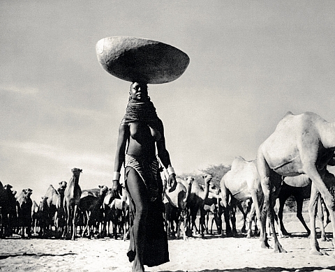 Festival de la Gacilly 