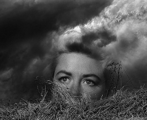 Exposition : AFFRONTEMENTS COMPLICES