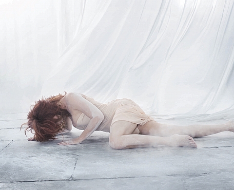 Exposition : « FRAGILE » Photographies de Sylvie Lancrenon Exposition : « FRAGILE » Photographies de Sylvie Lancrenon