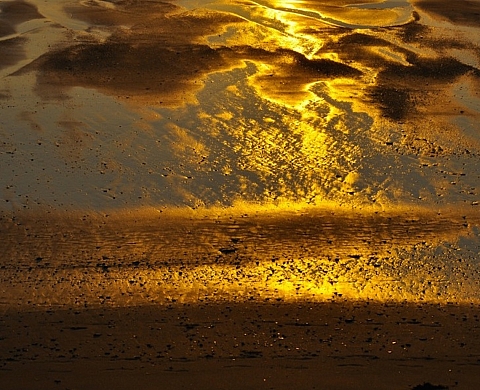 Exposition :  « A travers les éléments » d'Emmanuelle Prosper