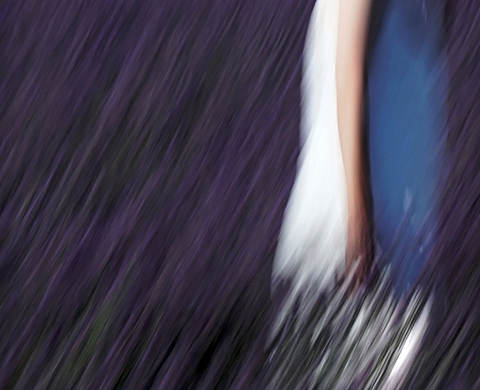 Exposition : « Femme Lavande » de Jean-François Mutzig