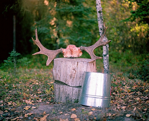 Exposition : « PLAMONDON » de Lolita Bourdet, à l'Espace Larocafé