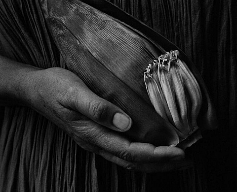 6e édition des Rencontres internationales de la photographie en Gaspésie