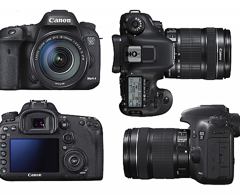 Le Canon EOS 7D Mark II élu appareil photo de l'année