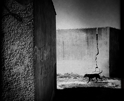 Exposition: « Mon manège à moi » à l'Atelier du Midi