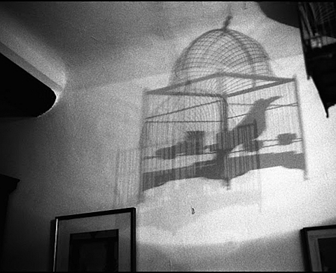 Exposition : Tout bêtement, de Nicolas Guilbert