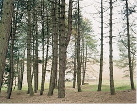 Exposition : « L’obstination du paysage » d’Aymeric Fouquez et de Pierre Schwartz