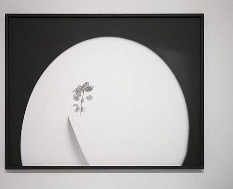 Exposition : Photographies, de Bertrand Hugues à la Galerie Berthet-Aittouarès