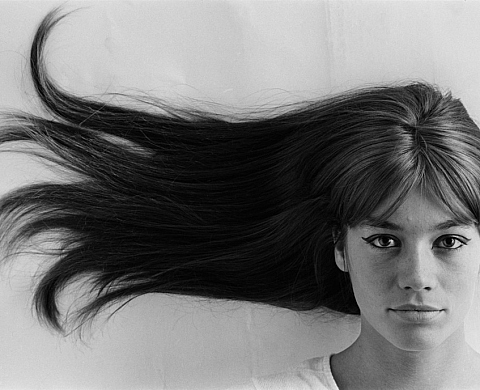 100 photos de Jean Marie Périer pour RSF : la «couleur de nos rêves»