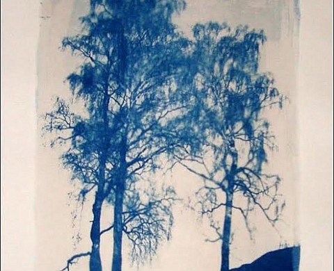 Exposition :  «  Aperçu des confins » de Fabienne Forel