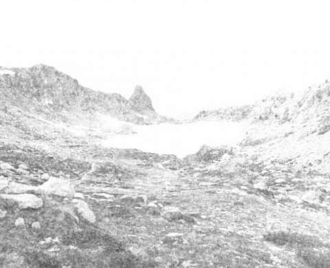 Exposition: «Quand fond la neige, où va le blanc ?» Exposition: «Quand fond la neige, où va le blanc ?»