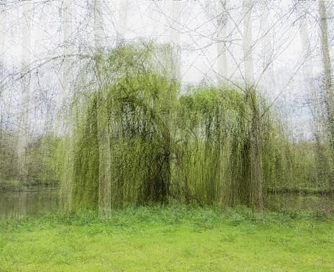 « Les essences de lumière », une exposition d'Andrés Donadio & Eric Winarto
