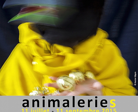 Exposition « Animaleries » à la galerie La Carpe