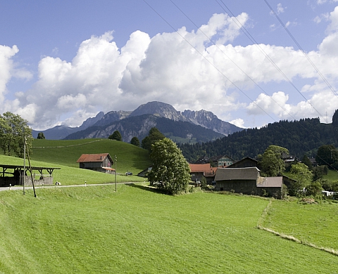 Festival Alt. +1000 à Rossinière