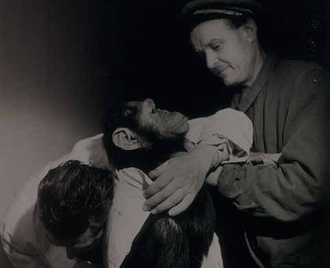 Exposition « Robert Doisneau, un photographe au Muséum » Exposition « Robert Doisneau, un photographe au Muséum »