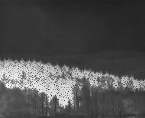 Exposition « Light Engram » de Mustapha Azeroual, Parcours OFF des Rencontres de la Photographie Arles 2015 