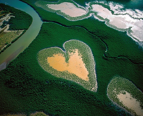 Expo éphémère : « Celebrates Life » de Yann Arthus-Bertrand Expo éphémère : « Celebrates Life » de Yann Arthus-Bertrand