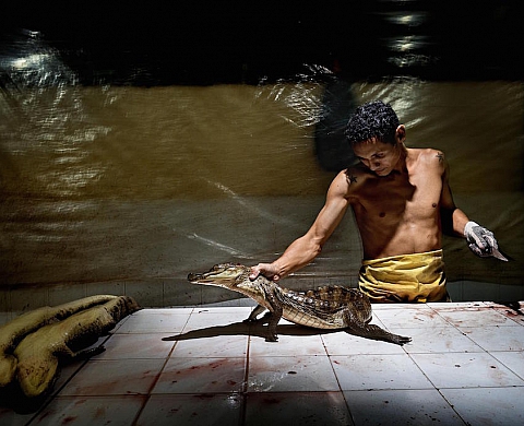 Exposition: « World Press Photo 2015 » à Paris Exposition: « World Press Photo 2015 » à Paris