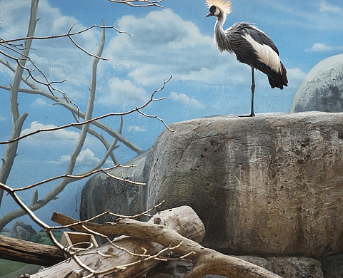 Exposition: Eric Pillot, lauréat du prix Marc Ladreit de Lacharrière