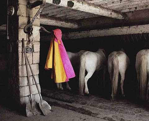 « Défilé au Mas de la Bélugue », une exposition de John Stewart 