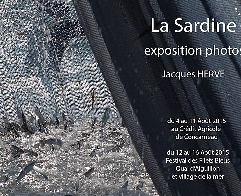 Exposition: « La sardine »