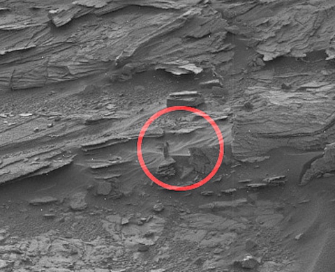 Une femme sur Mars ? Et pourquoi pas un crabe ?