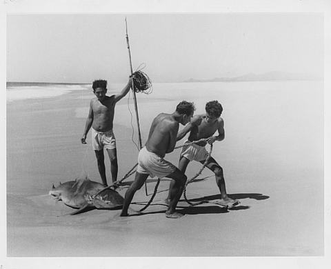 Exposition : Photographies / Mexique de Lola Álvarez Bravo