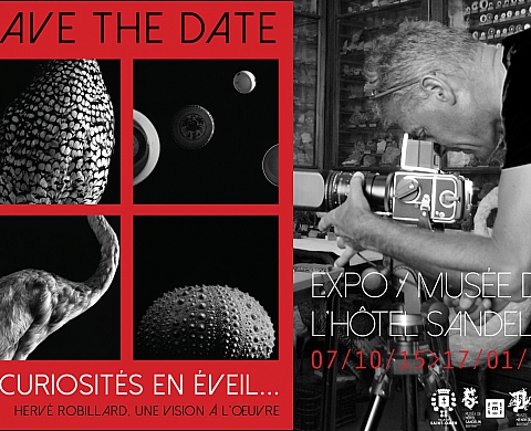Exposition :  « Curiosités en éveil » par Hervé Robillard 