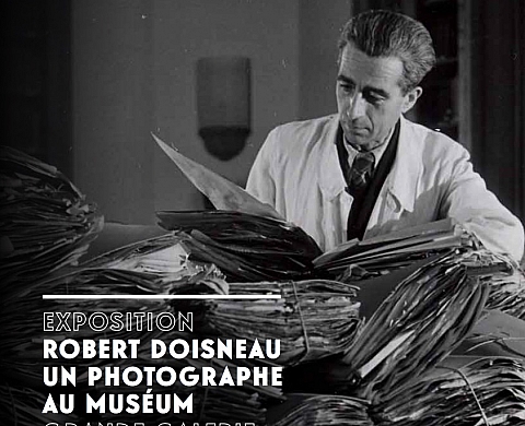 Exposition : « Robert Doisneau, un photographe au Muséum » Exposition : « Robert Doisneau, un photographe au Muséum »