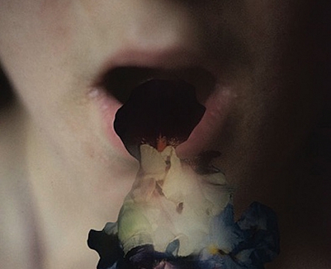 Exposition :  « Lux et Volupté »