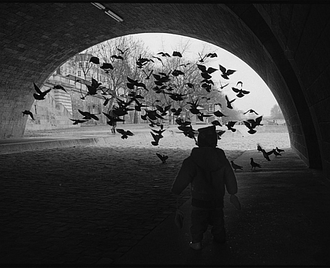 Exposition : « Paris en vie(s) » Exposition : « Paris en vie(s) »