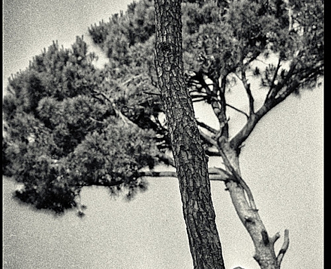 Exposition : Alain Keler, 1982, Journal d'un photographe Exposition : Alain Keler, 1982, Journal d'un photographe