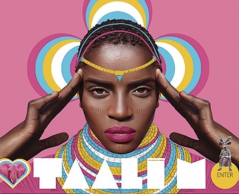 Exposition : Making Africa. Un continent de design contemporain