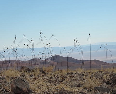 Exposition : « Faire-Part » 