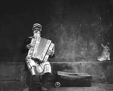 Les gagnants des iPhone Photography Awards 2015 