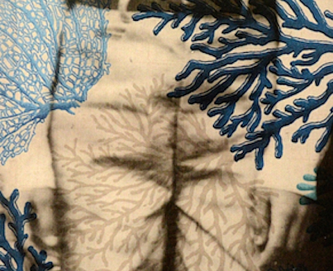 Exposition : « Odyssey »