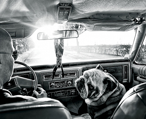 Exposition : « Mon anglais est un bulldog » Exposition : « Mon anglais est un bulldog »