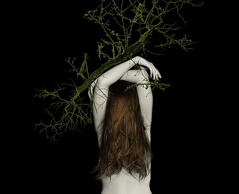 Exposition Clara Mill : The roots Exposition Clara Mill : The roots