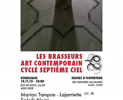 Marion Tampon-Lajarriette 