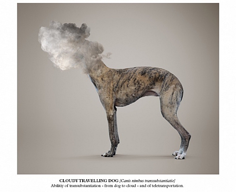 Exposition: « Post-Natural History » de Vincent Fournier Exposition: « Post-Natural History » de Vincent Fournier