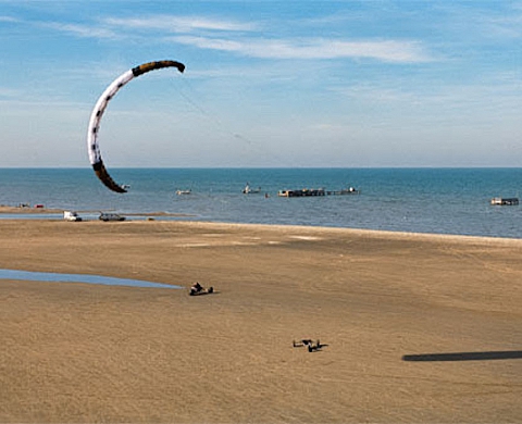 Exposition : Par dessus tout, la Provence