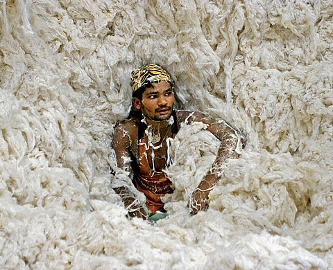 Exposition : « Causes et Conséquences » à l'occasion de la COP21