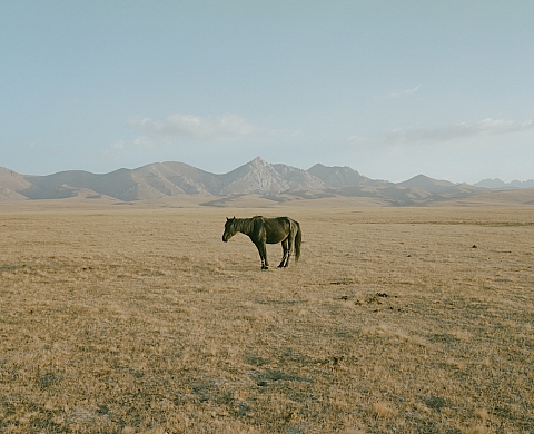 Exposition : « Horsehead Nebula » de Matthieu Litt Exposition : « Horsehead Nebula » de Matthieu Litt