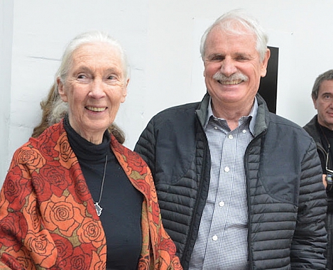Vente de photos pour l'Institut Jane Goodall :  « Un résultat très satisfaisant  »