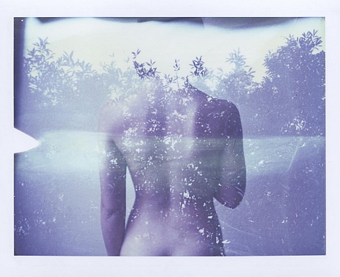 Exposition : « Polaroid Horizons » Exposition : « Polaroid Horizons »