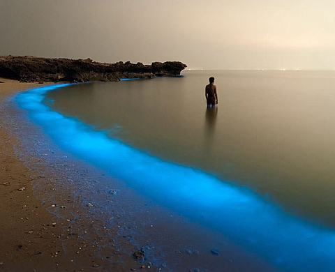 Le Top 2015 de National Geographic