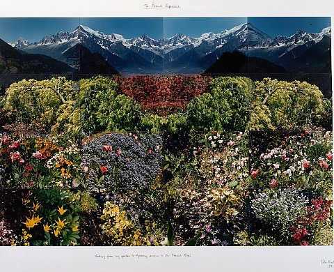 Peter Hutchinson : fantasmes fleuris Peter Hutchinson : fantasmes fleuris