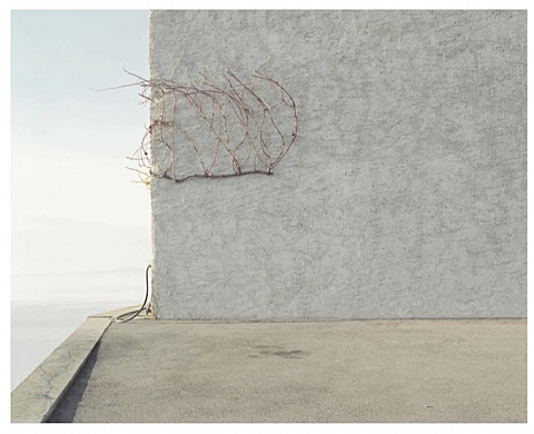 Exposition : « Des mondes possibles » de Mathieu Bernard Reymond