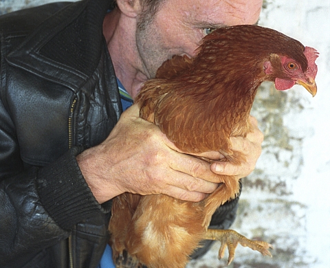 Exposition : « Si tu ne viens pas, je te scalpe » de Vincen Beeckman