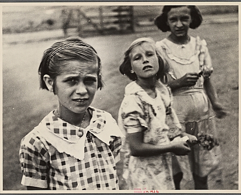 La New York Library met à disposition plus de 180 000 images inédites sur internet